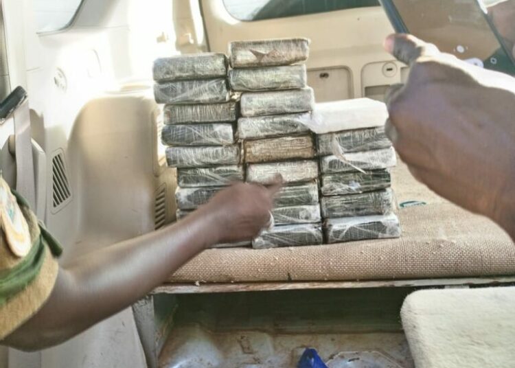 Lutte contre le trafic de stupéfiants: 25 kg de cocaïne saisie à Kaolack