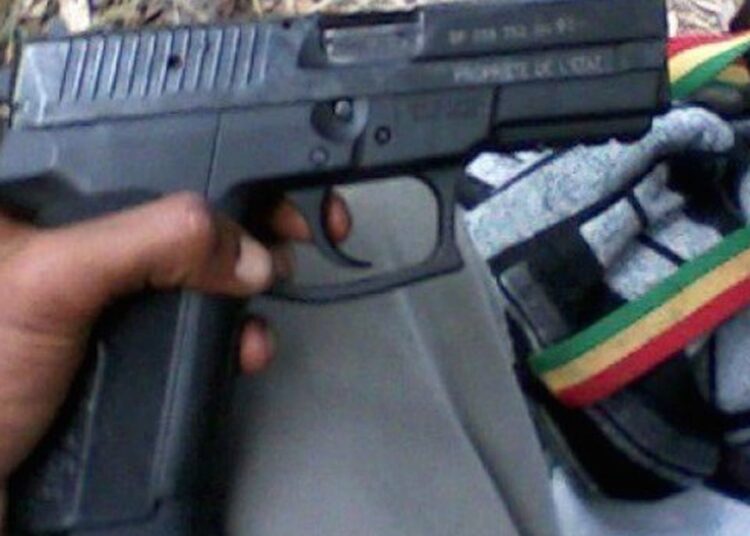Délinquance au Ranch de Dolly: le multirécidiviste arrêté avec une arme de la gendarmerie