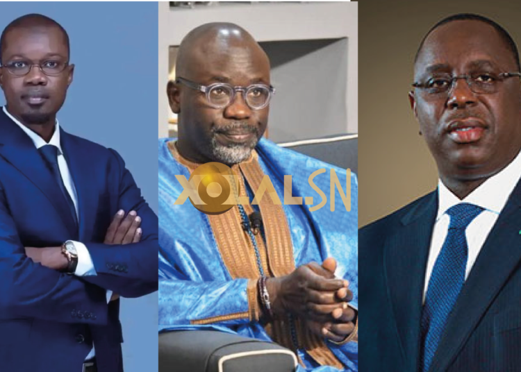 Cheikh Yérim Seck sur l’affaire Sweet Beauty: «Si l’Etat avait décidé de mettre ses énormes moyens, il n’y aurait pas eu toutes ces failles»