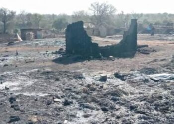 Incendie à Douta : Plus de 500 cases et des magasins consumés