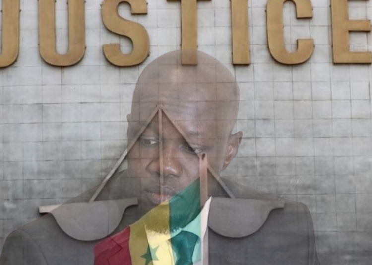 Cheikh Dia : "la justice sénégalaise est indulgente, la peine dont a écopé Ousmane Sonko est légère…"