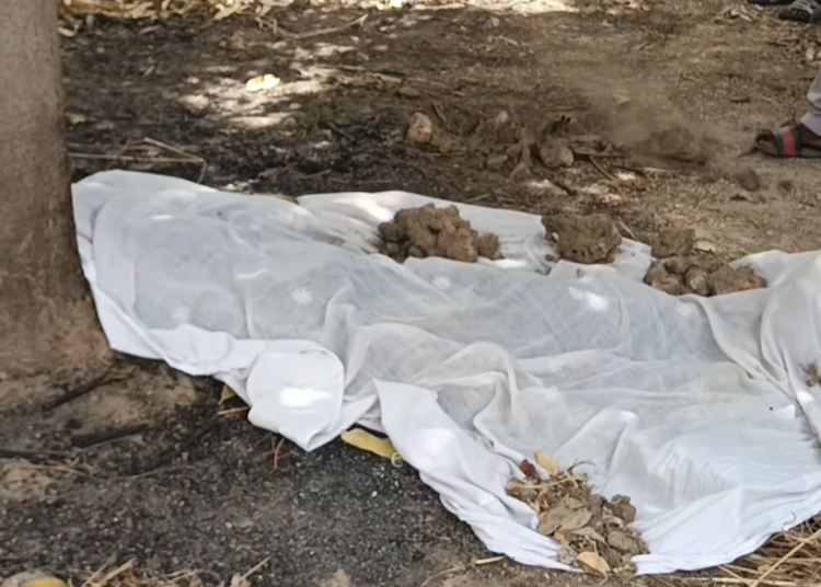 Corps calciné retrouvé à Tivaouane : "J’ai vu sur les photos un foulard autour de son cou. Elle a été étranglée à mort"