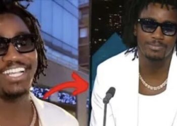 Interview sur France24 : Wally Seck a-t-il raté son «envol» pour l’international ? Sa réponse.