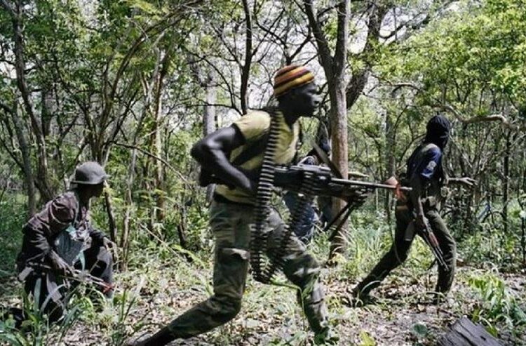 Accord de paix annoncé entre le gouvernement et une faction rebelle du MFDC