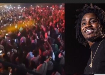 Dôme de Paris: Wally Seck réussi le pari de la mobilisation, malgré les appels au boycott (Video)