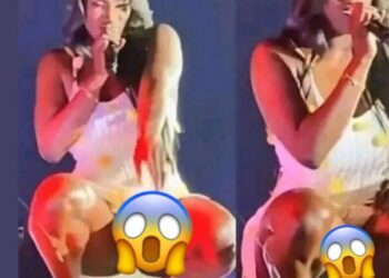 Performance de Aya Nakamura aux Ardentes 2023 : La chanteuse exhibe sa partie int!me, les fans bouche bée (photos)