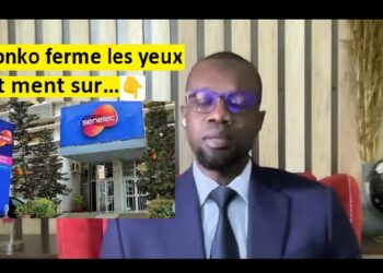 Mame Penda Sow : Comment Sonko peut-il vivre dans une maison sans électricité depuis des jours et faire une Interview avec la télé France 24…