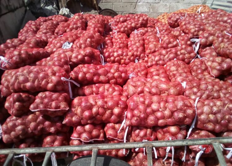 À Ziguinchor, l’oignon s’arrache à 2000 F CFA le kg
