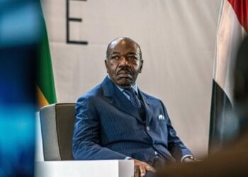 Gabon: le fils d'Ali Bongo et des proches du président déchu écroués pour "haute trahison" et "corruption active" !