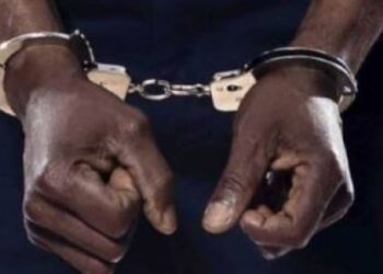 Mafia des faux documents : les ramifications d’une affaire !