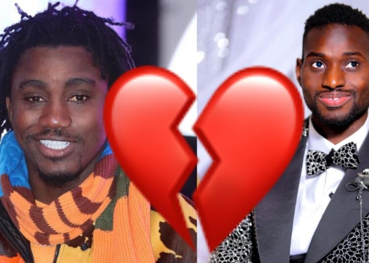 Brouille avec Adamo: Wally Seck lâche son «insulteur»