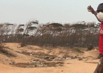 Déclassification de la bande des filaos de Guédiawaye : la Cour Suprême a décidé de ne pas décider
