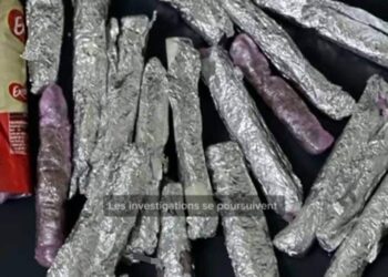 Lutte contre la drogue : 20 boulettes de haschisch saisis par la Gendarmerie de la Foire à Dakar