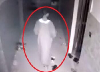 Touba : Le fils de l’Imam, C. Mbacké vole la caisse, il est filmé en flagrant délit