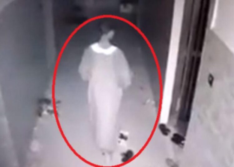 Touba : Le fils de l’Imam, C. Mbacké vole la caisse, il est filmé en flagrant délit